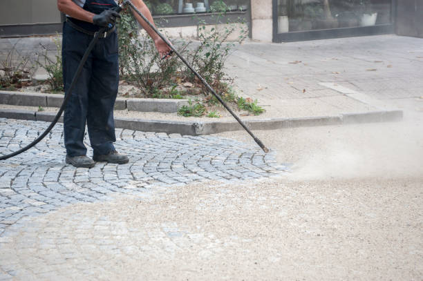 Best Spring Cleaning  in East Vineland, NJ