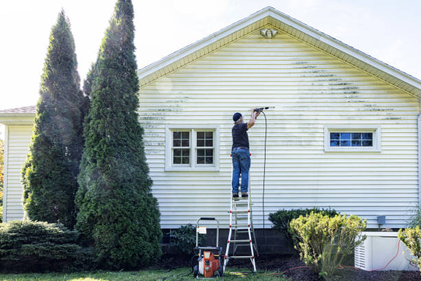 Best House Exterior Washing  in East Vineland, NJ